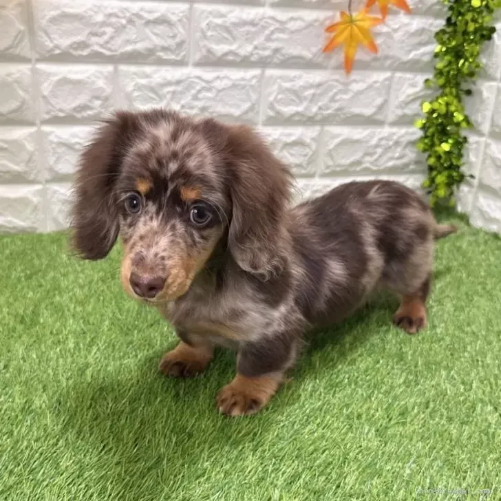 支い総額293.000円(税込)