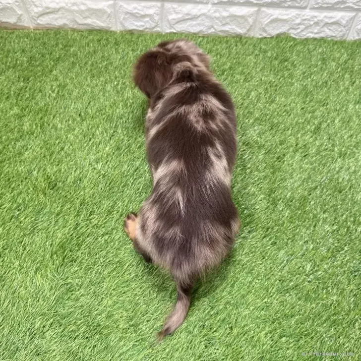 支い総額293.000円(税込)