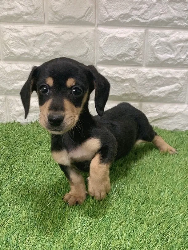 支い総額143.000円（税込）