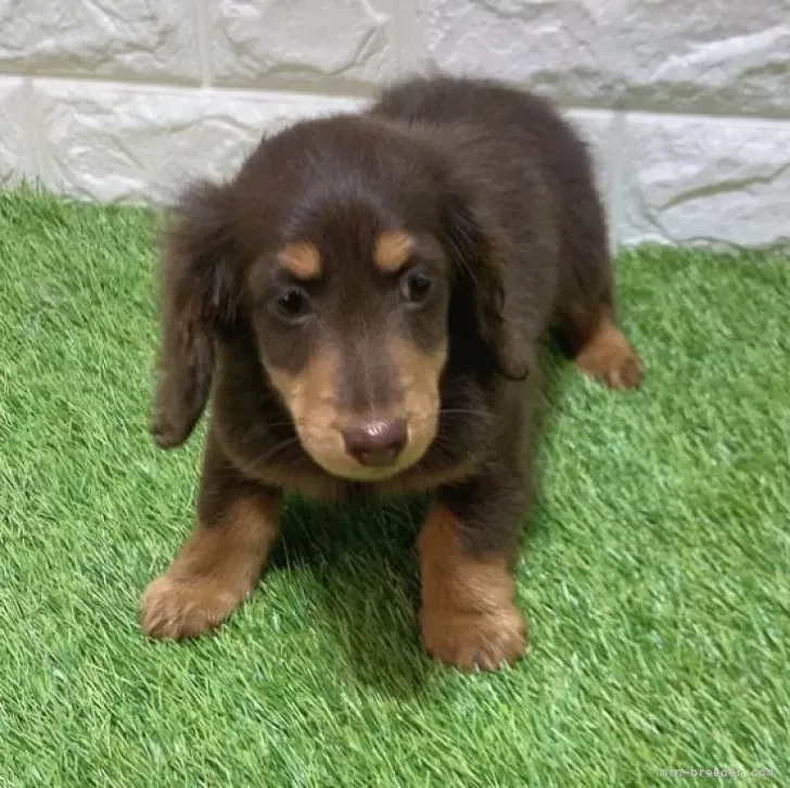 支い総額183.000円（税込）