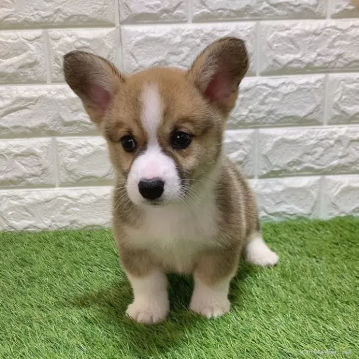    ご家族が決まりました