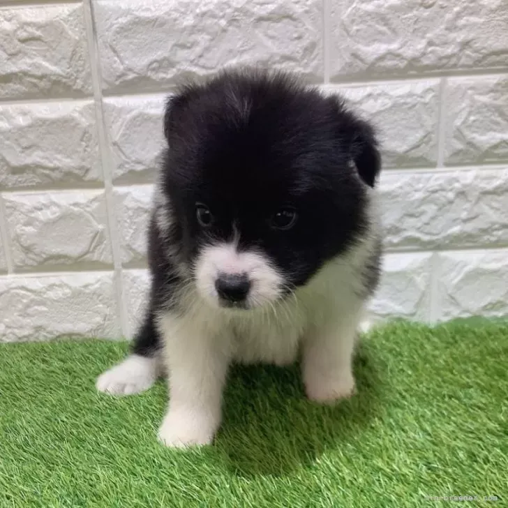 ご家族が決まりました