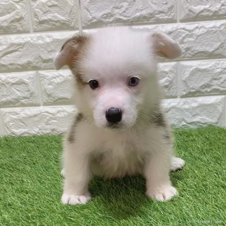   ご家族が決まりました