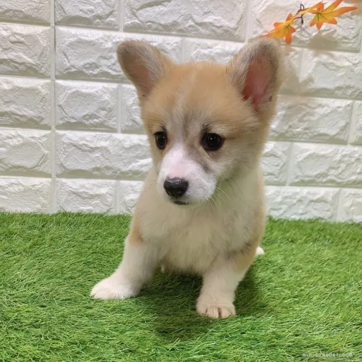    ご家族が決まりました