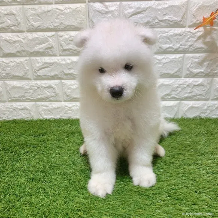 ご家族が決まりました