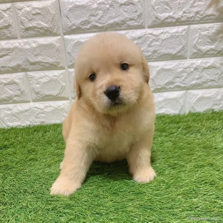 ご家族が決まりました