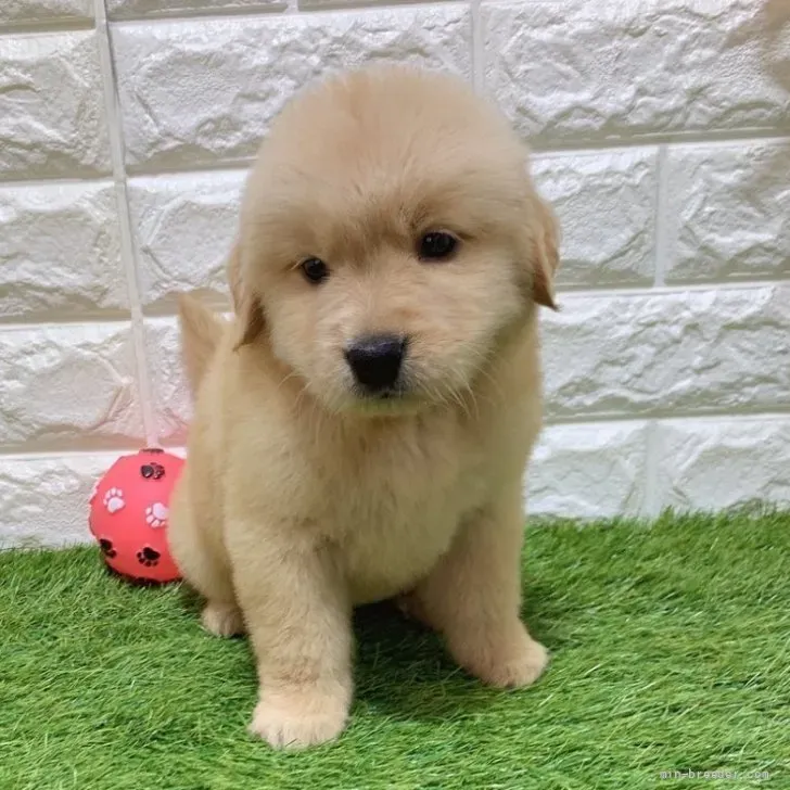 ご家族が決まりました
